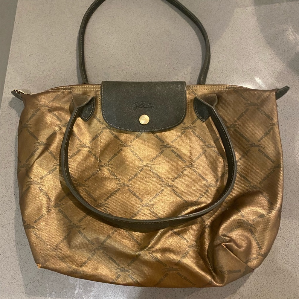 Longchamp Purse (Horse Logo and Belt Pattern)